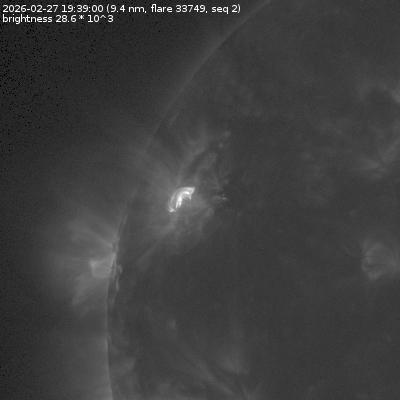 دانلود فایل json گزارش روزانه 